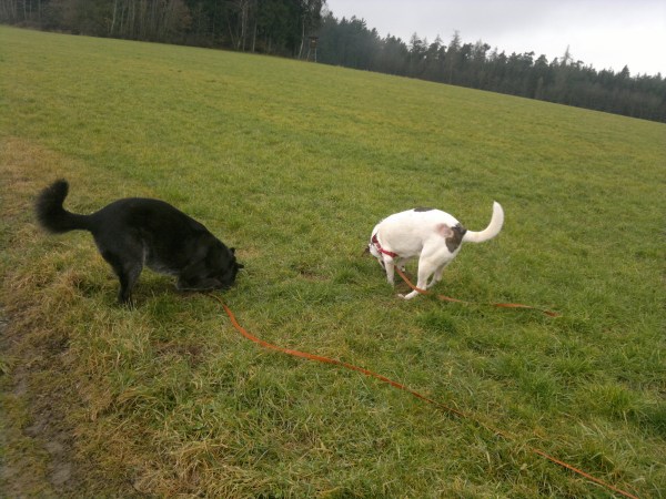 med_+oder im Team.jpg (600 x 450)